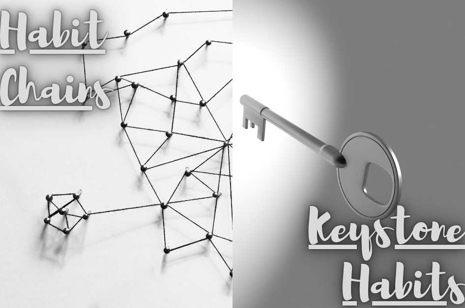 Habit Chains and Keystone Habits